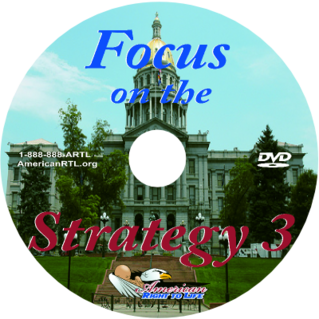 Focus on the Strategy 3